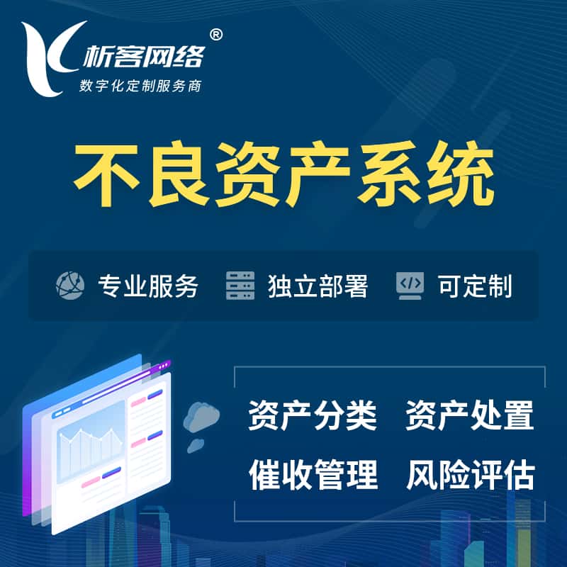 贵州不良资产管理系统