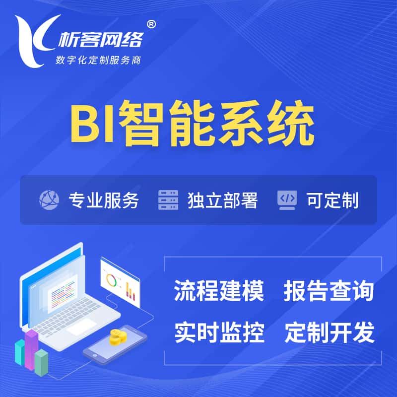 贵州BI智能系统 | BI数据可视化