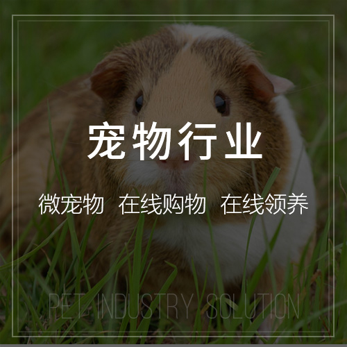 贵州集运系统制作如何提升物流效率